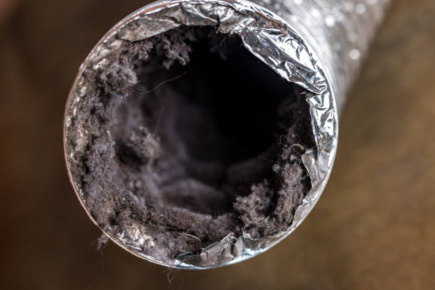 Best Professional Duct Cleaning Services  in Port Reading, NJ