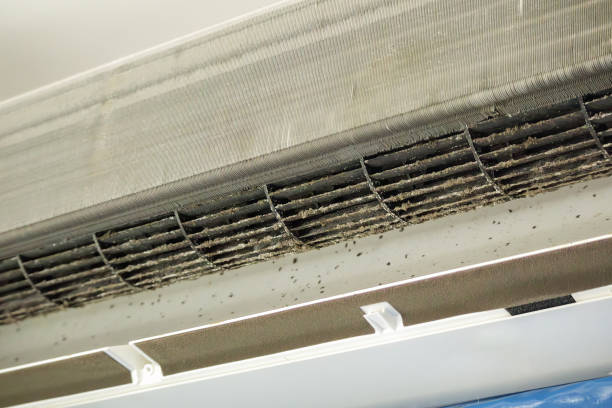 Best Ductwork Cleaning Services  in Port Reading, NJ